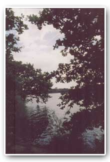 Treeton Dyke from Hail Mary Hill Wood