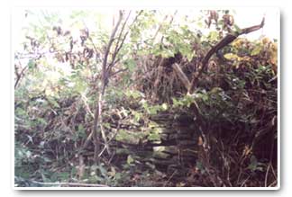 Remains of boundary wall