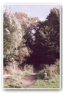Entrance to Woolley Wood